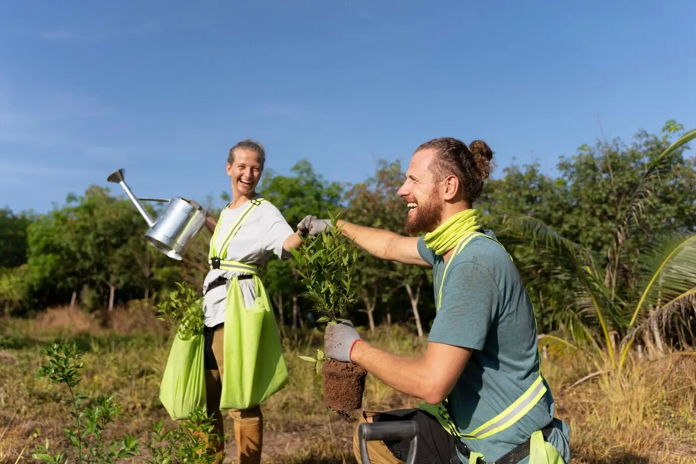 Люди сажают дерево в сельской местности.